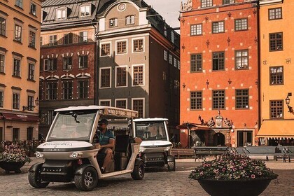 Stockholm Highlights: Private Golf Cart Tour