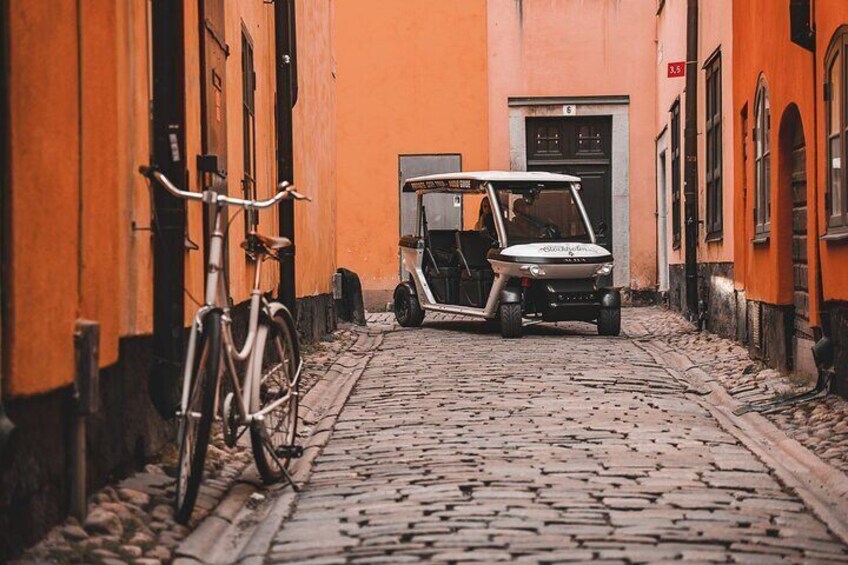 Stockholm Highlights Private Tour by Golf Cart 