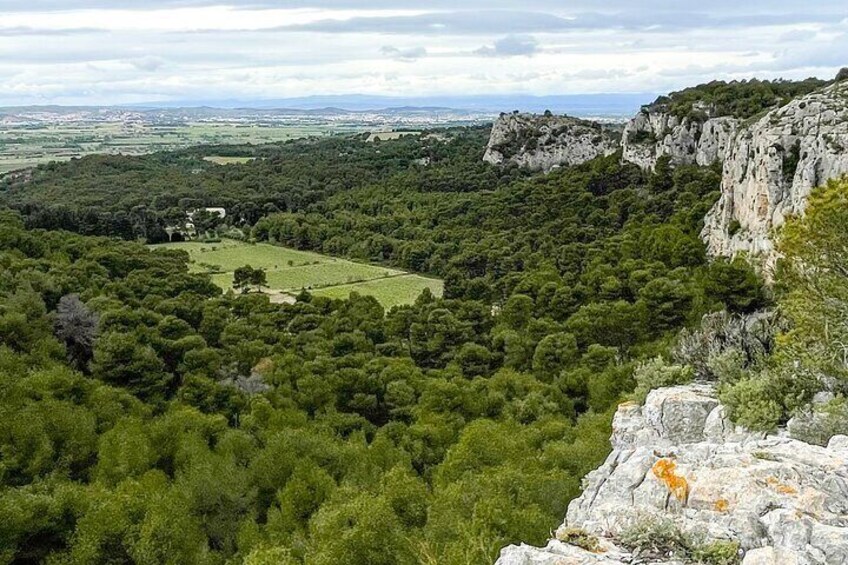 Enchanting Gruissan History, Wine, Viticulture and Scenic Beauty