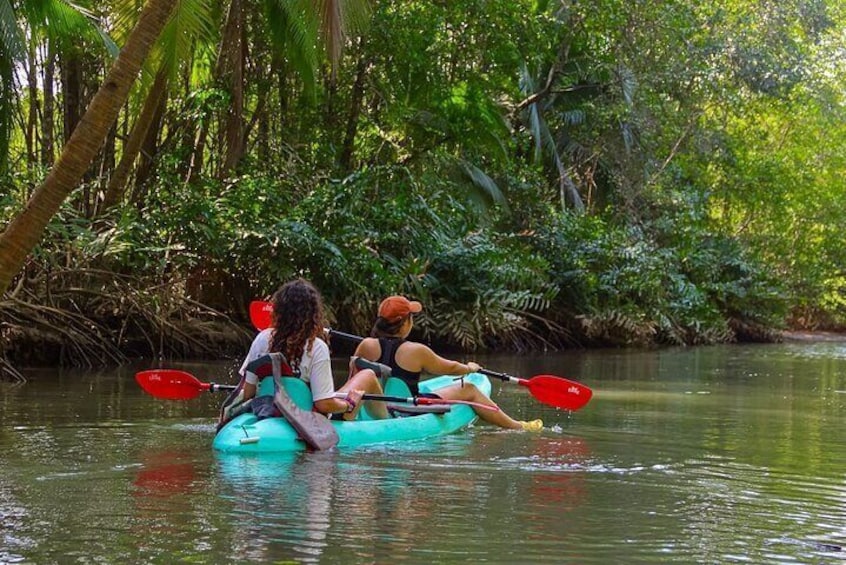 Paddle Through Paradise: Mangrove Kayak Adventure