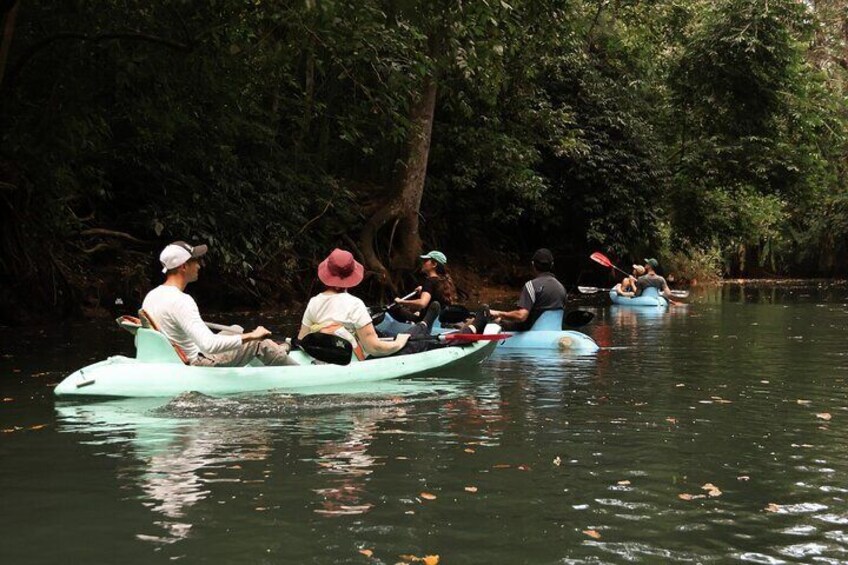 2 Hours Kayaking Tour in The Mangroves