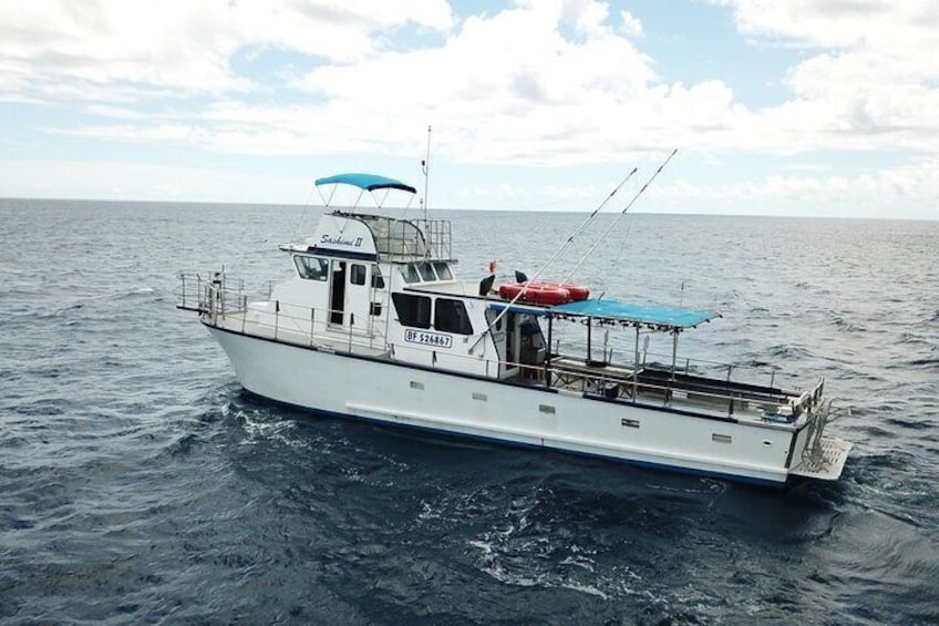 Honolulu Bottom Fishing and Fireworks Cruise 