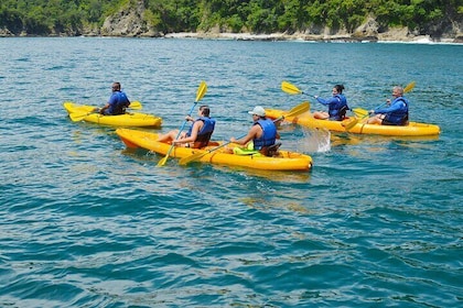 Ocean Kayaking and Snorkelling