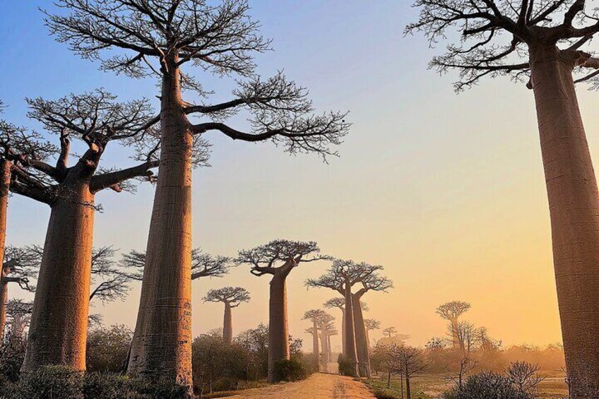 11 Days Private Tour in Madagascar
