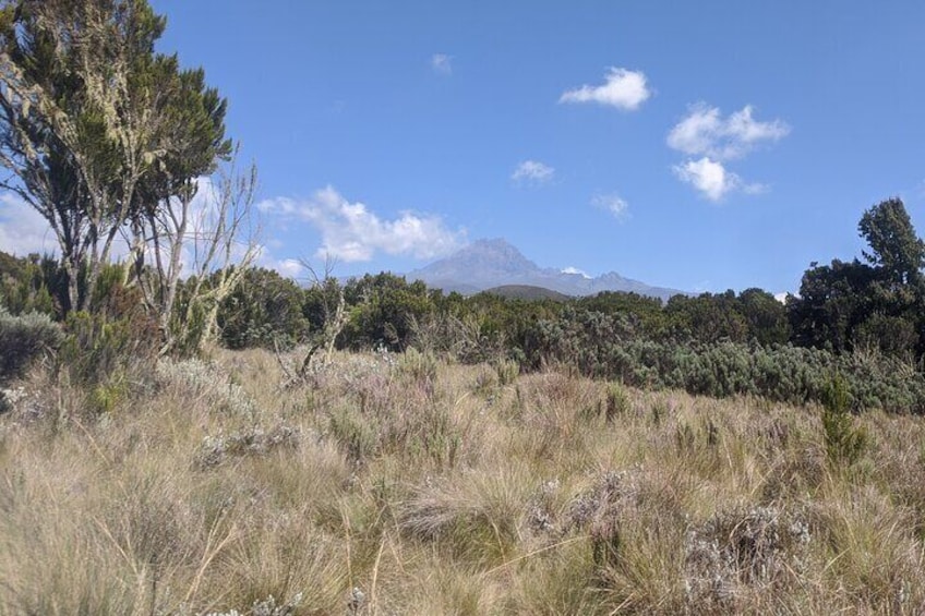 Private Multi Day Machame Route Climb in MT Kilimanjaro