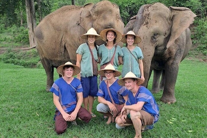 Chiang Mai Elephants Sanctuary, Wat Banden & Sticky Waterfall