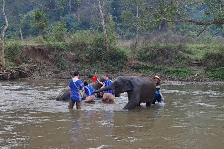 Chiang Mai Elephants Sanctuary, Wat Banden & Sticky Waterfall