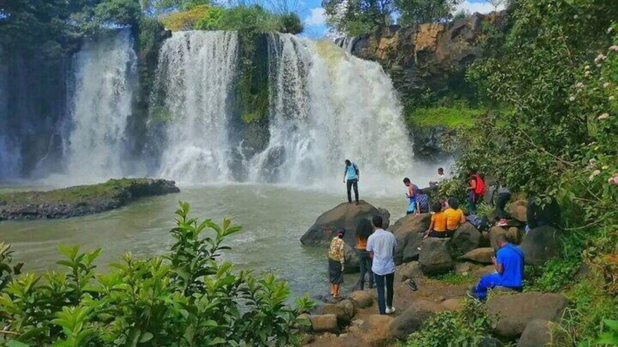 Lily waterfall. Can do Kayaka asa well if keen on it