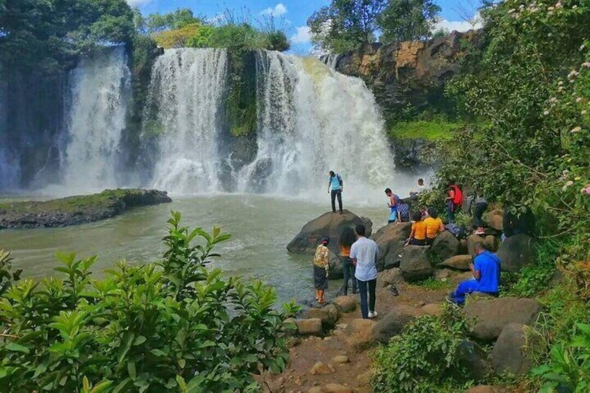Lily waterfall. Can do Kayaka asa well if keen on it
