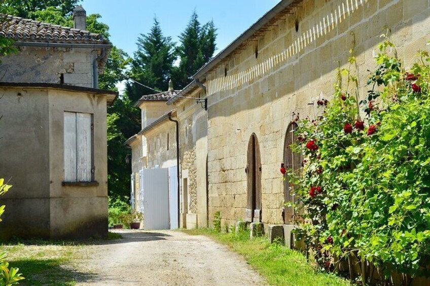 Bordeaux Backcountry E Bike Adventure with Lunch And Wine Tasting