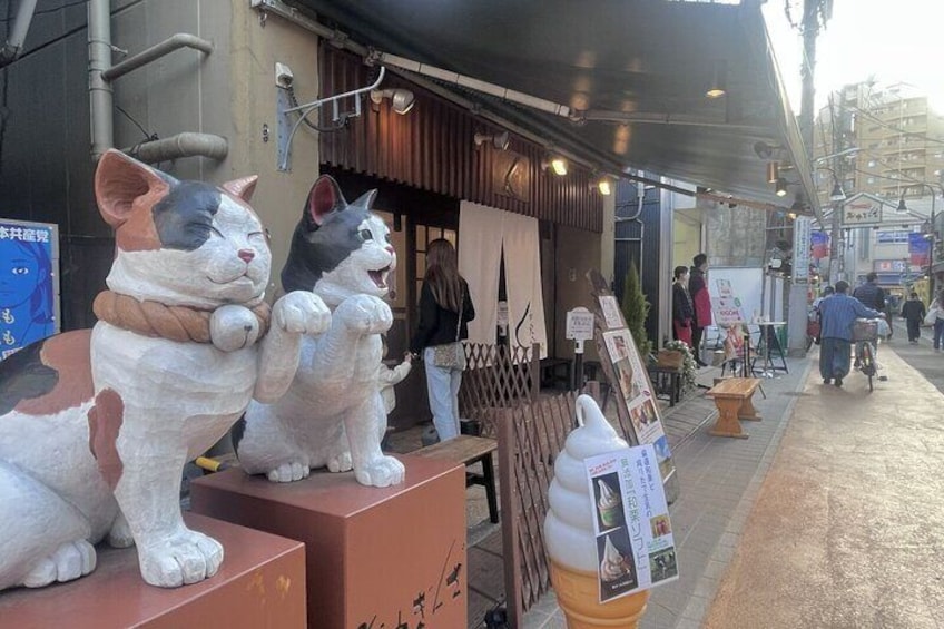 Ueno and Yanaka Culture Art Walking Tour in Old Tokyo