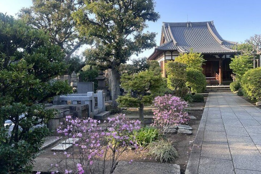 Ueno and Yanaka Culture Art Walking Tour in Old Tokyo