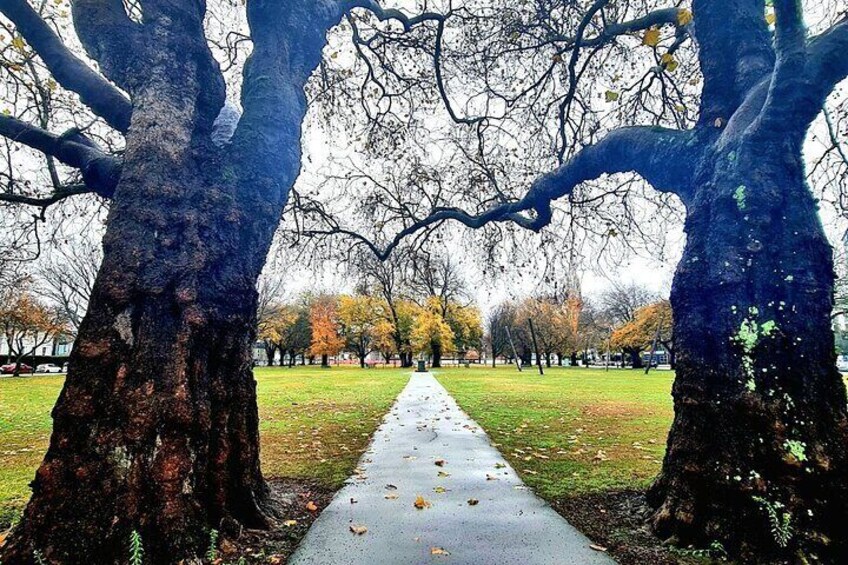 Christchurch City Highlights Half Day Tour