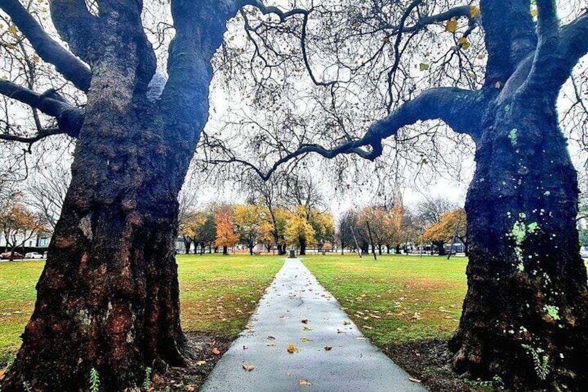 Christchurch City Highlights Half Day Tour
