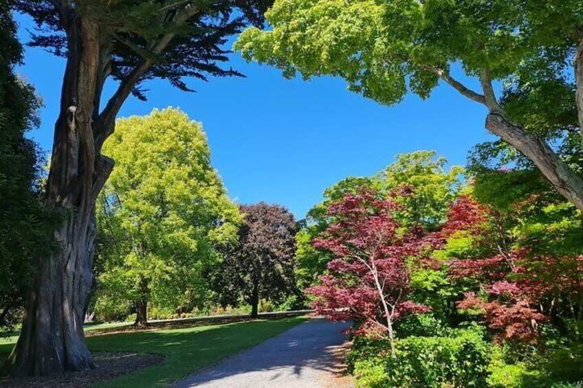 Christchurch City Highlights Half Day Tour