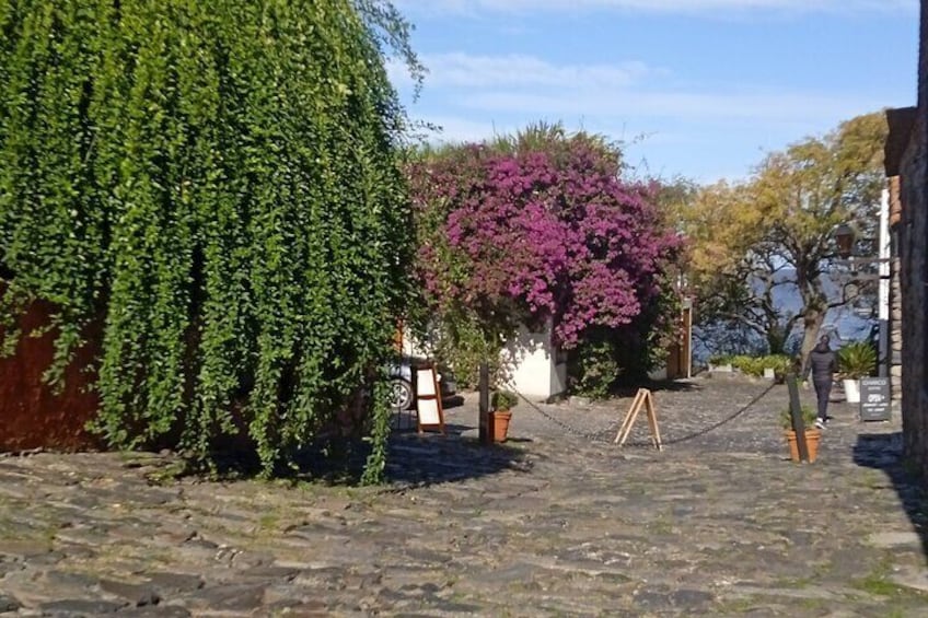 Private Have It Your Way Tour in Colonia del Sacramento