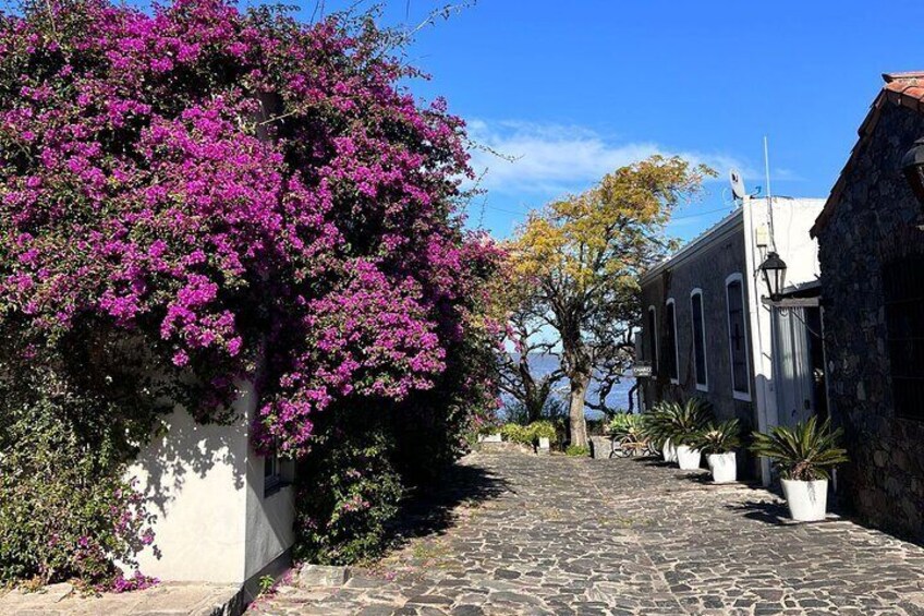 Private Have It Your Way Tour in Colonia del Sacramento