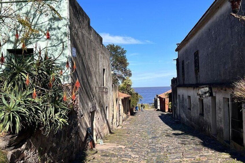 Private Have It Your Way Tour in Colonia del Sacramento