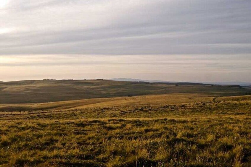 Gastronomy Excursion in Aubrac with Lunch and Crafts