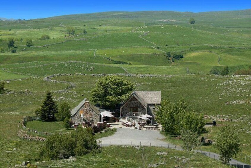 Gastronomy Excursion in Aubrac with Lunch and Crafts