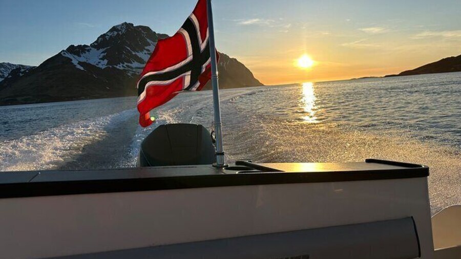 2 Hour Private Exclusive Midnight Sun Cruise by Boat in Lofoten