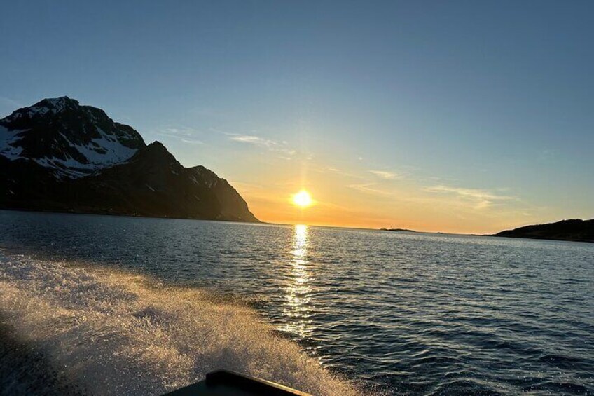 2 Hour Private Exclusive Midnight Sun Cruise by Boat in Lofoten