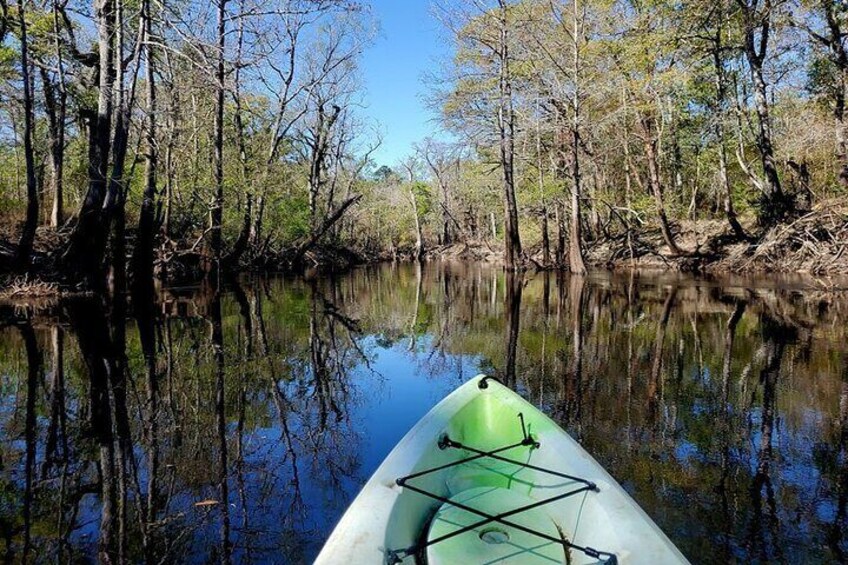 Kayak Rental on the Waccamaw River