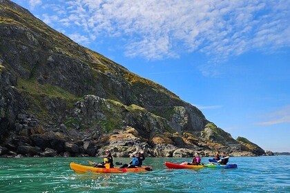 Sea Kayaking trip around Bray Head