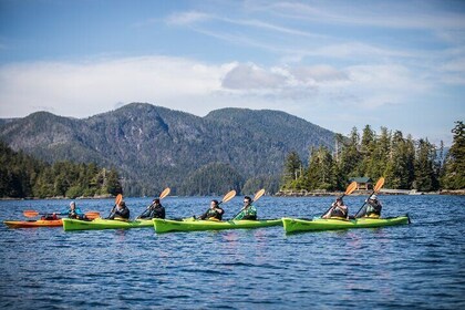 Siginaka Islands Cruise and Kayak Adventure