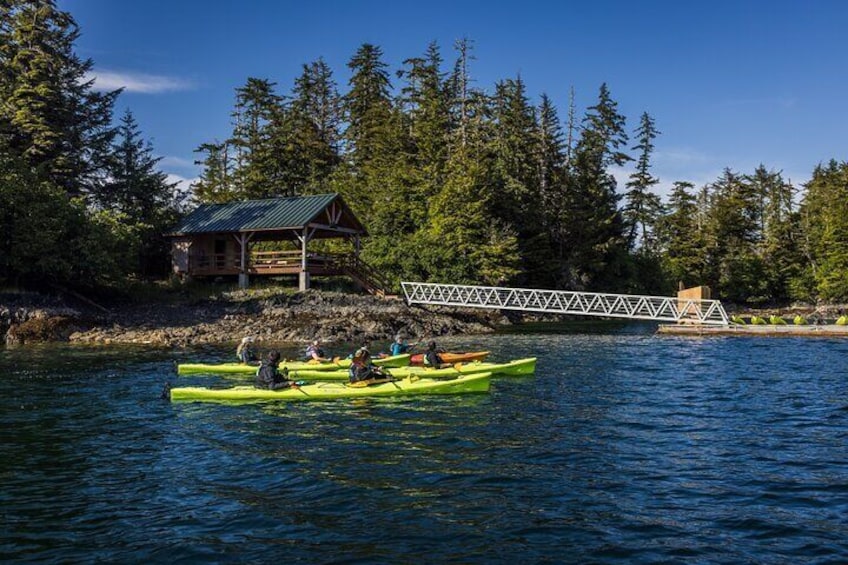 Siginaka Islands Cruise and Kayak Adventure
