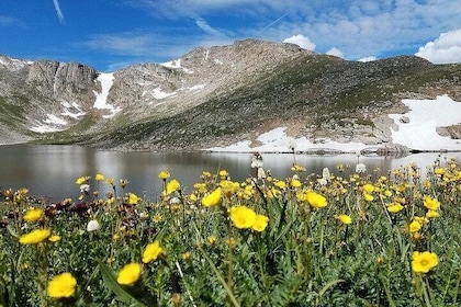 From Denver - Small group tour to Mount Evans /Mount Blue Sky