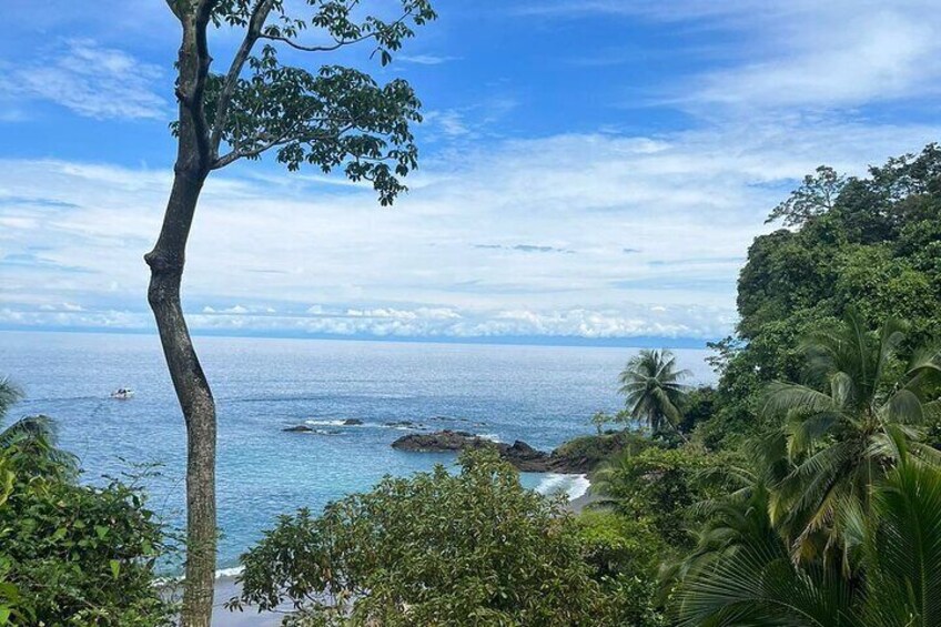 Snorkeling Tour at Caño Island 