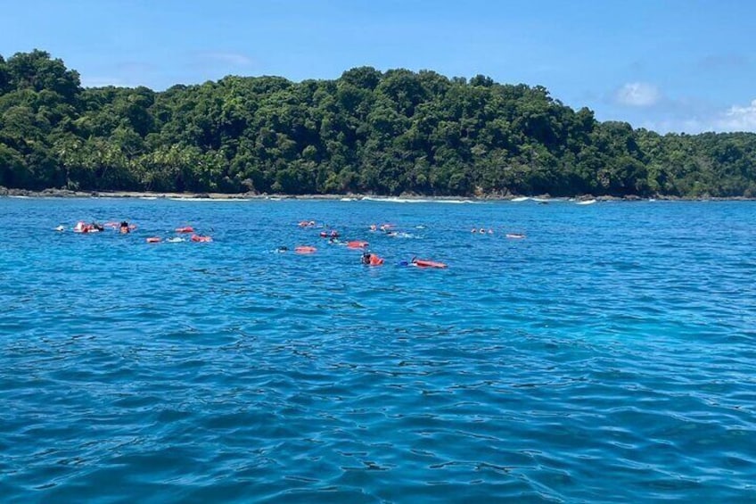 Snorkeling Tour at Caño Island 