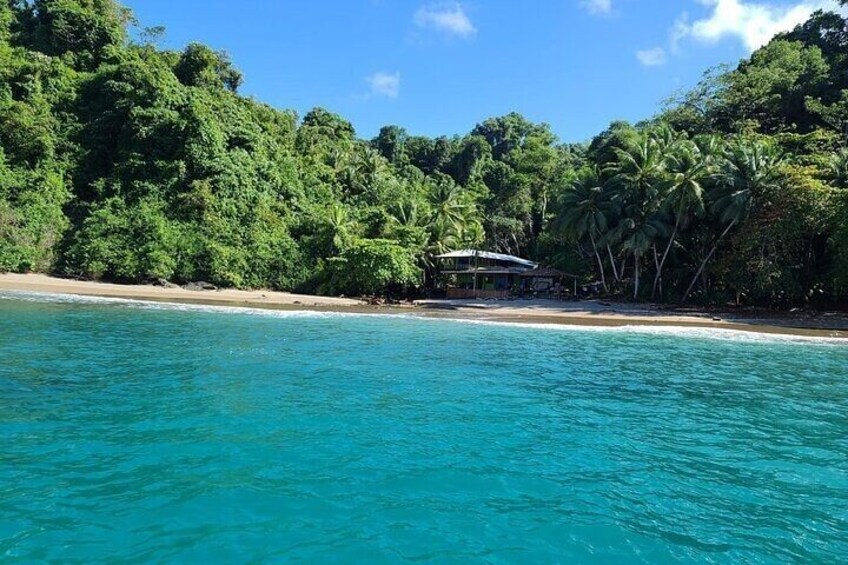 Snorkeling Tour at Caño Island 