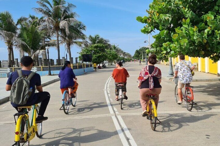 Cycle ride at Pondicherry - Chuttibaaz.com