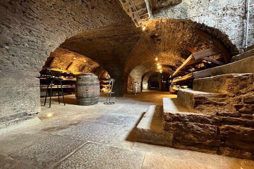Délicave: Immersive Exhibition & Wine Tasting