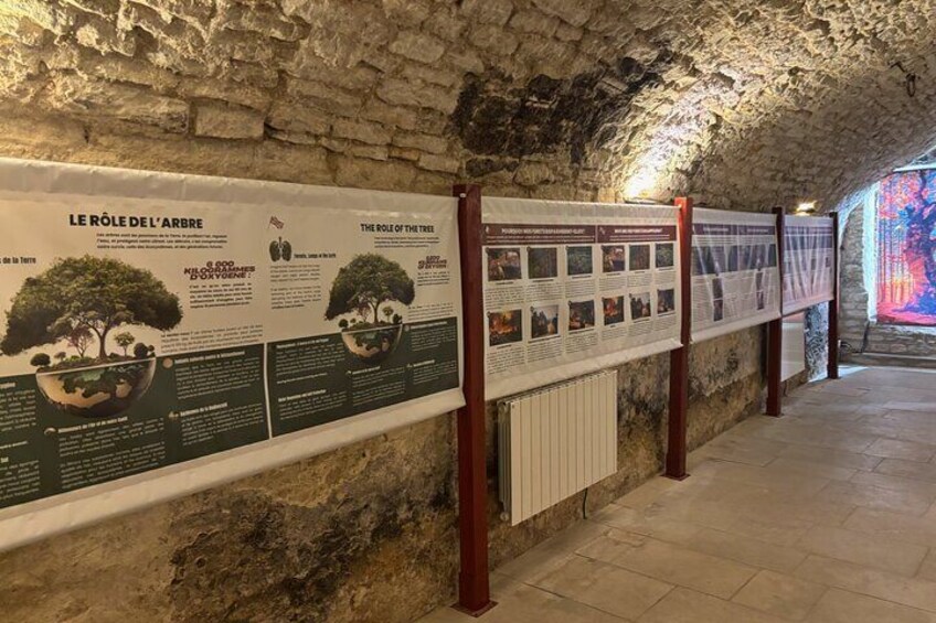 Delicate cellar: Shock exhibition & tasting of 5 wines