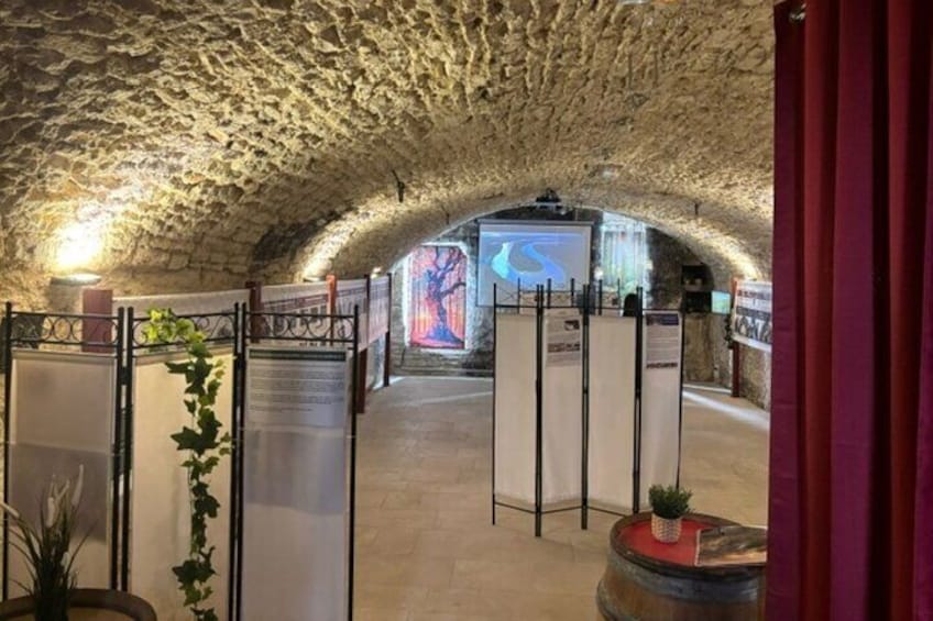 Délicave: Immersive Exhibition & Wine Tasting