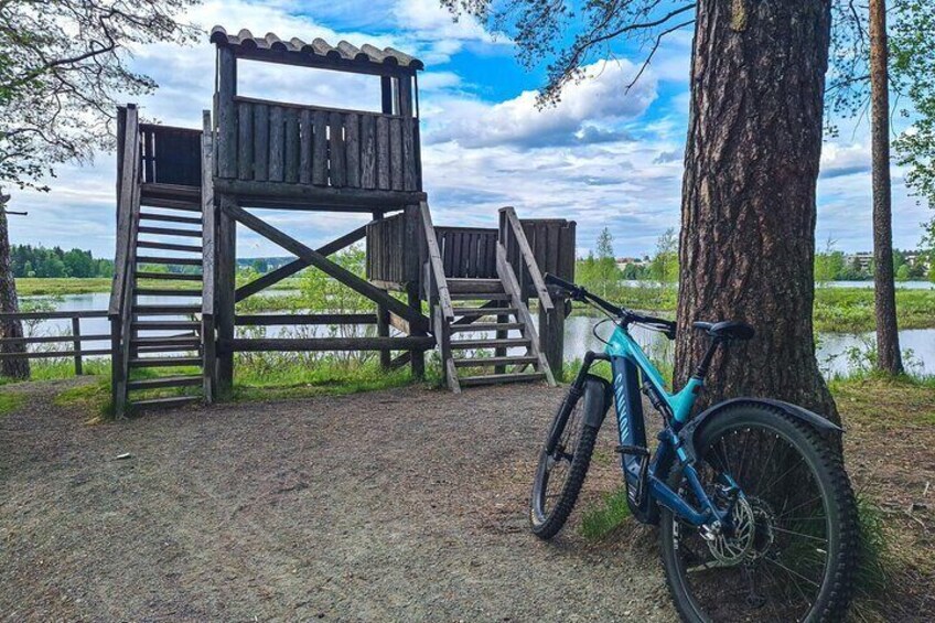 Bike Ride in Parks and Riversides of Rovaniemi 