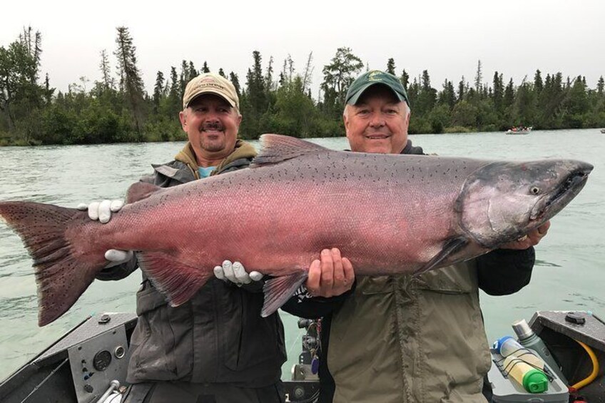 Kenai King Salmon on the Kenai River! 