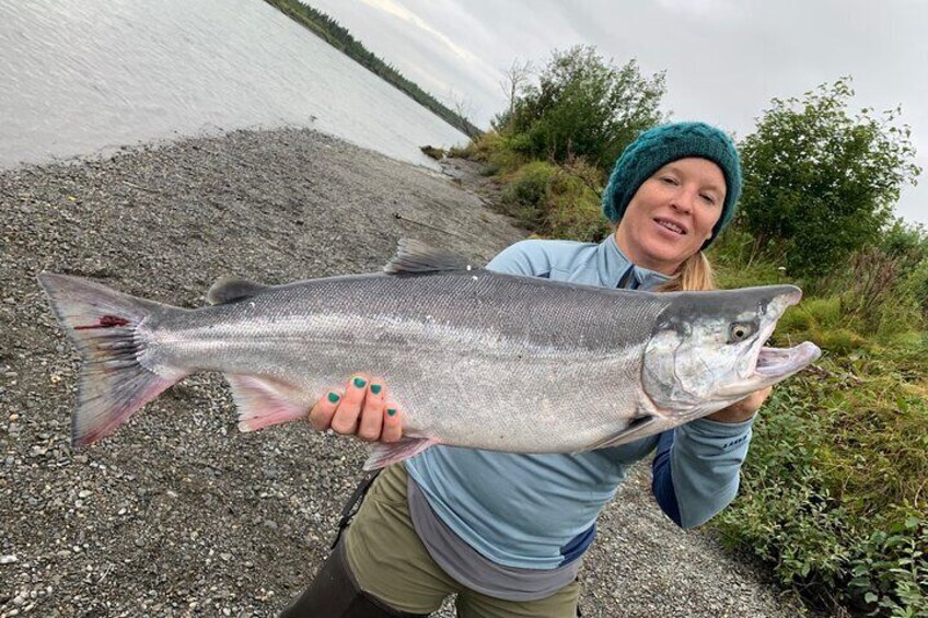 One of biggest silver salmon on the Kenai River, Alaska. 
