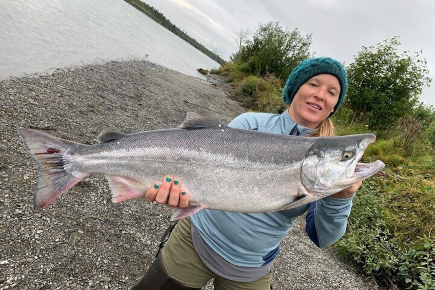 One of biggest silver salmon on the Kenai River, Alaska.