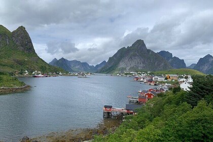 6 Hours Private Exclusive Car Sightseeing in Lofoten (group 1-6)