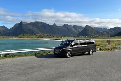 4 Hours Private Exclusive Car Sightseeing in Lofoten (group 1-6)