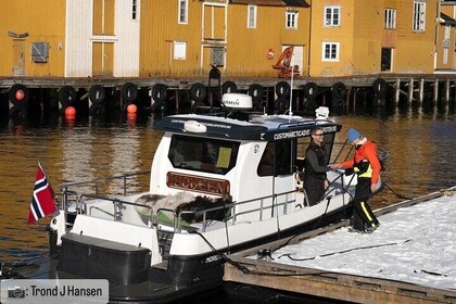 4 Hours Private Exclusive Boat Sightseeing in Leknes (group 1-4)