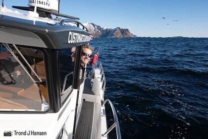 3 Hours Private Exclusive Boat Sightseeing in Leknes (group 1-4)
