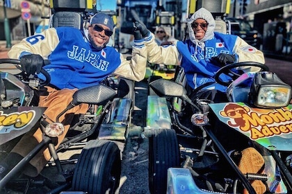 Explore Go Kart Tour in Tokyo(Shibuya crossing~Harajuku~Shinjuku)