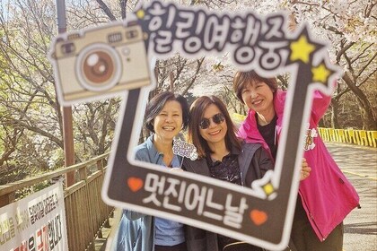 Small group Tour in Busan for 4~8hours