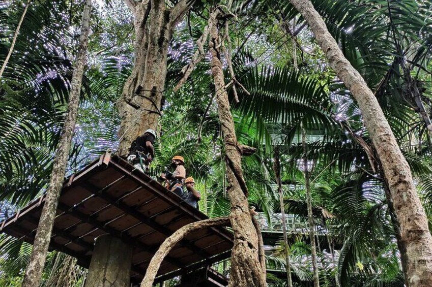 Gamboa Tree Trek Zip Line Adventure in Panama