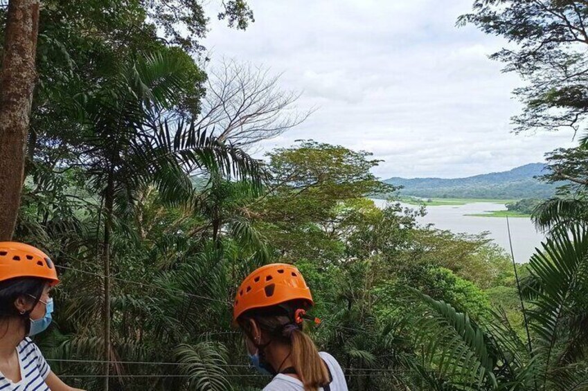 Gamboa Tree Trek Zip Line Adventure in Panama